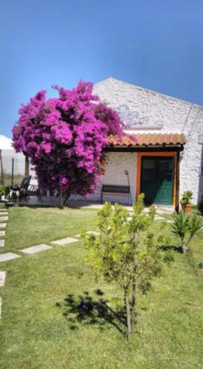 Casa da Buganvilia